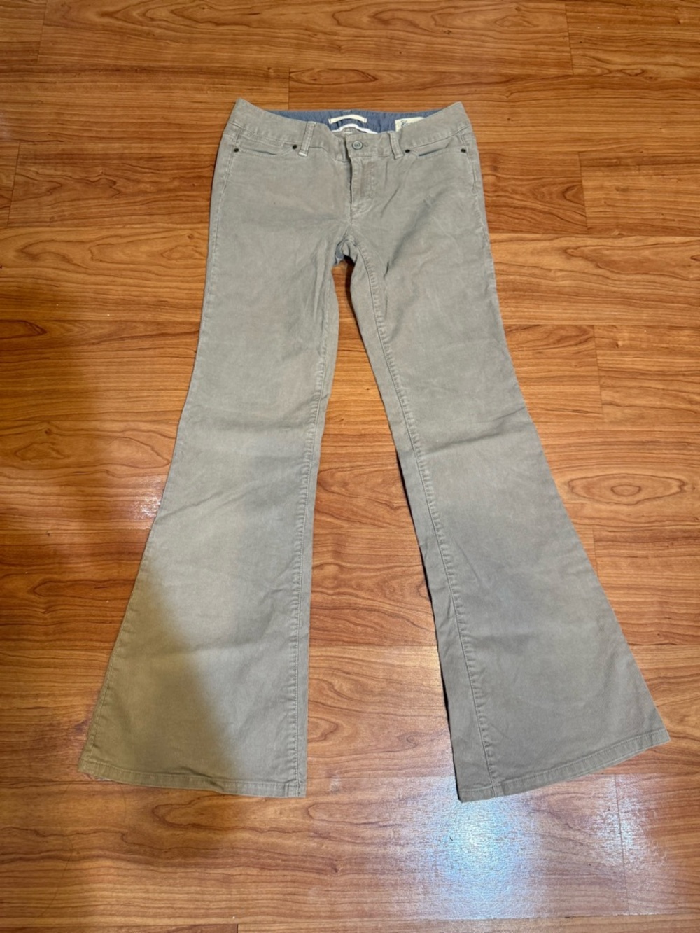 The Limited Wide Leg Corduroy Pants in Olive